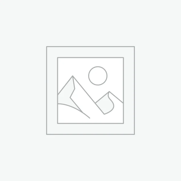 Arquitectura Golden Earrings